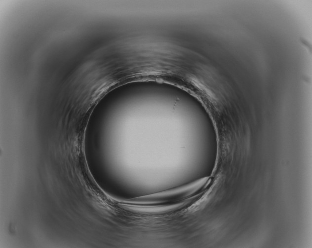 X0000096491353200801311609