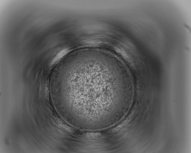 X0000096491354200801311609