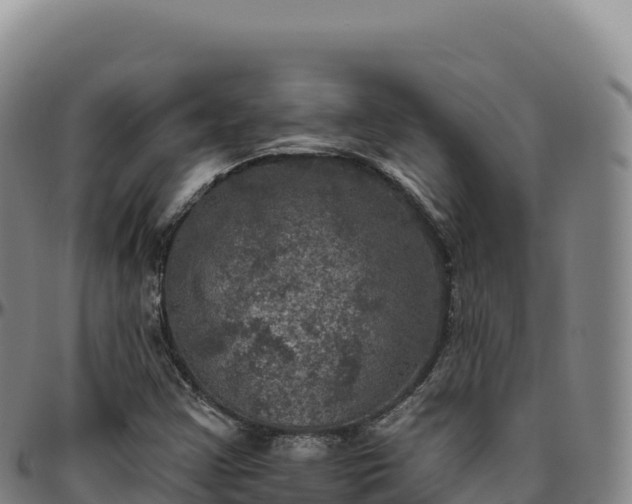 X0000096491355200801311609