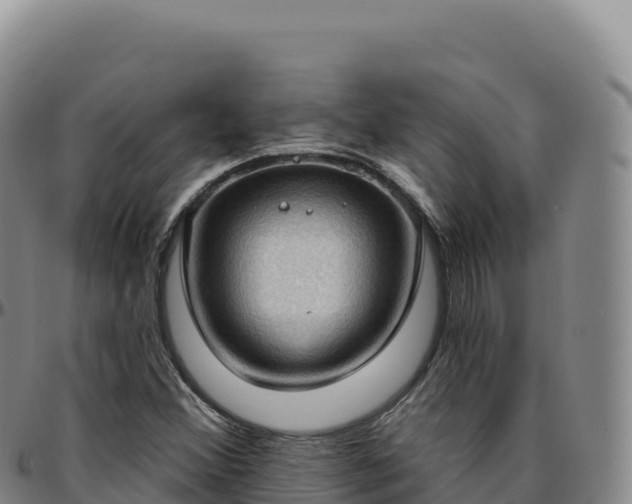 X0000096491356200801311609