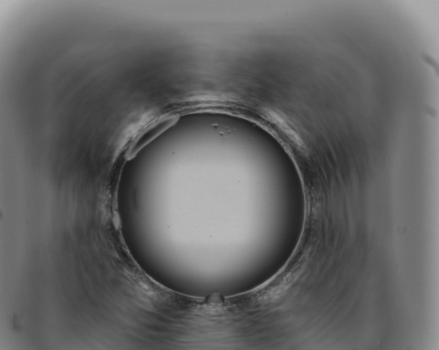 X0000096491357200801311609