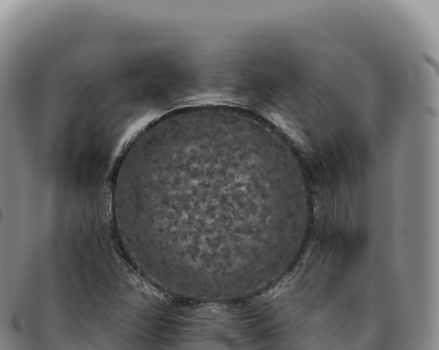 X0000096491358200801311609