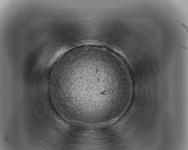 X0000096491359200801311609