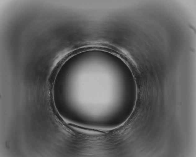 X0000096491360200801311609