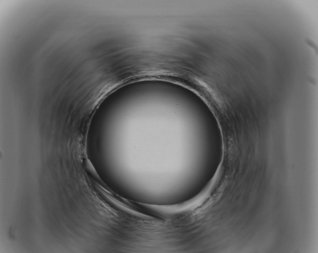 X0000096491361200801311609