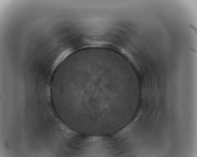 X0000096491362200801311609