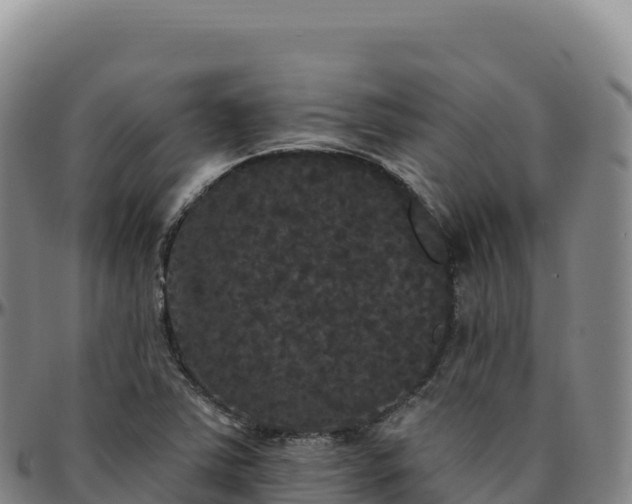 X0000096491363200801311609