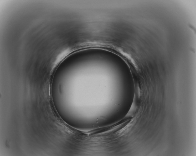 X0000096491365200801311609