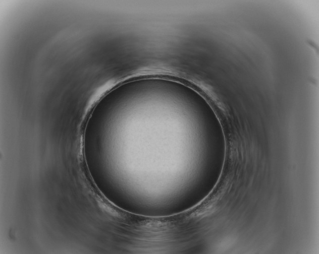 X0000096491366200801311609