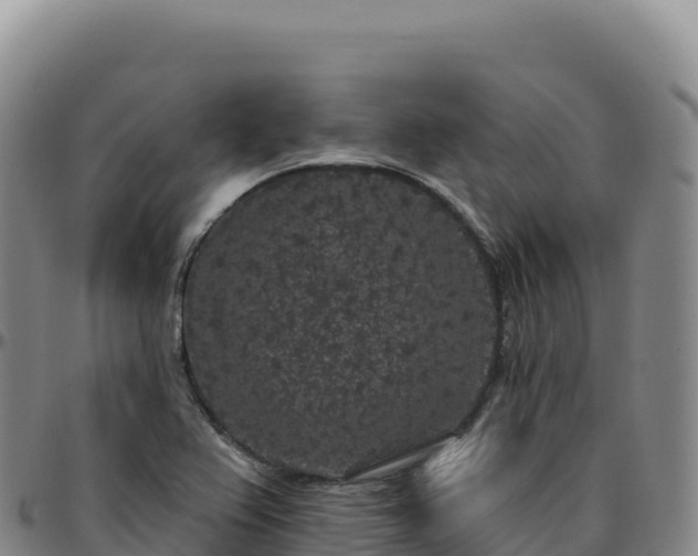 X0000096491367200801311609