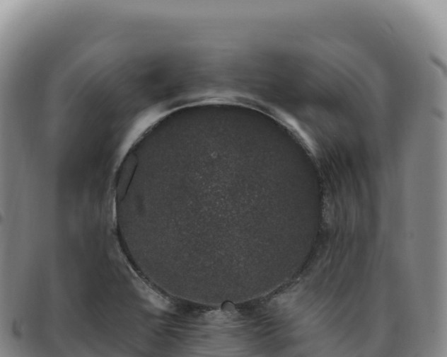 X0000096491368200801311609