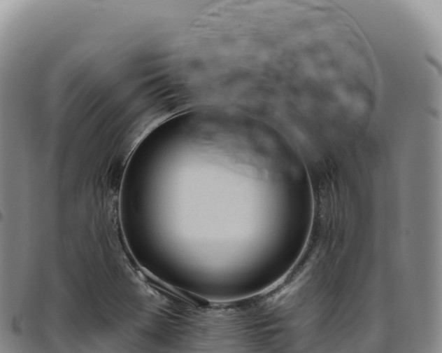 X0000096491369200801311609