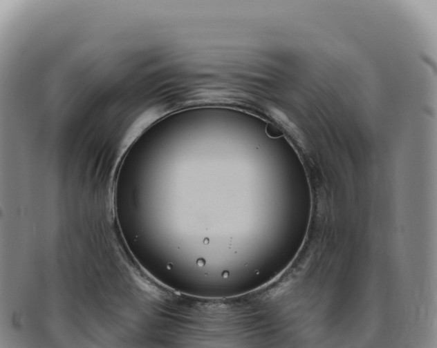 X0000096491370200801311609