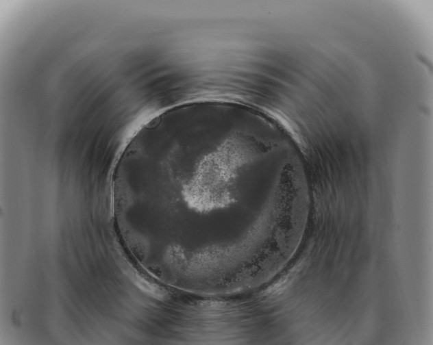 X0000096491371200801311609