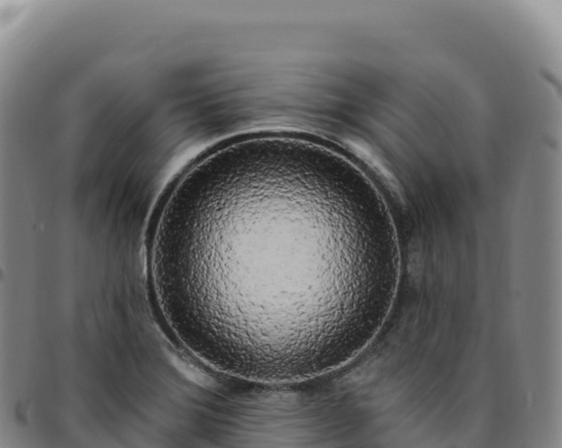 X0000096491372200801311609