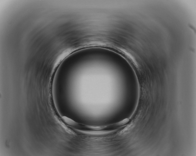 X0000096491373200801311609