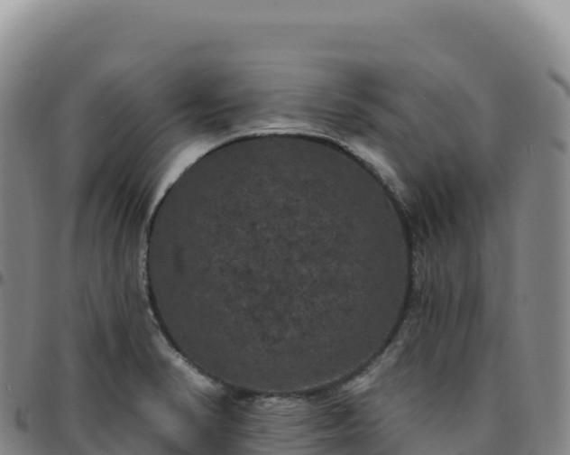 X0000096491374200801311609