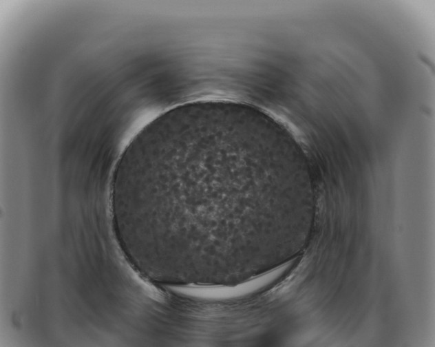 X0000096491375200801311609