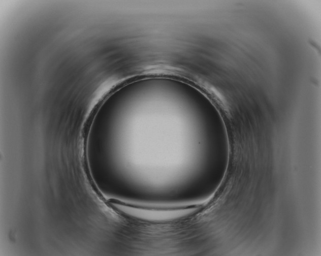 X0000096491376200801311609