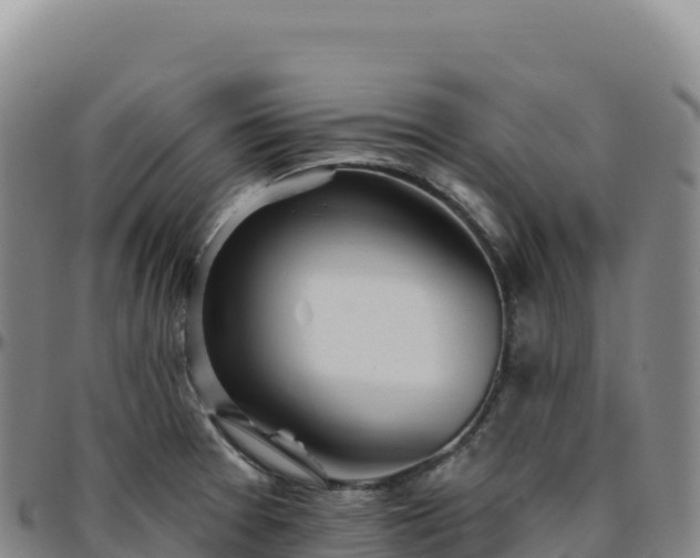 X0000096491377200801311609