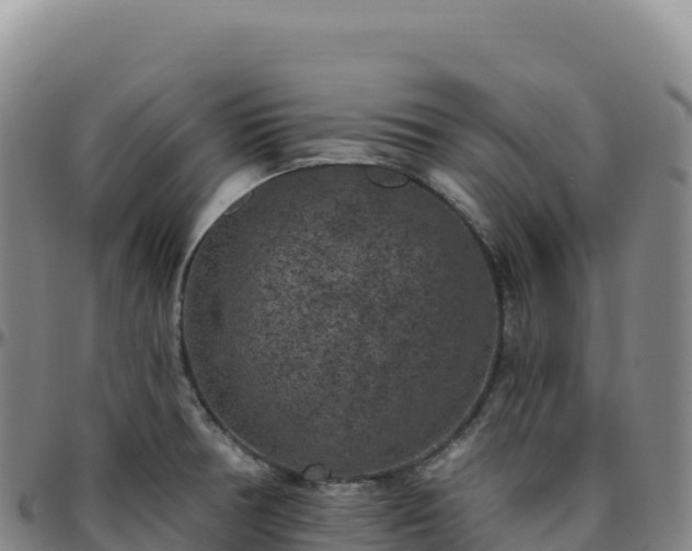 X0000096491378200801311609