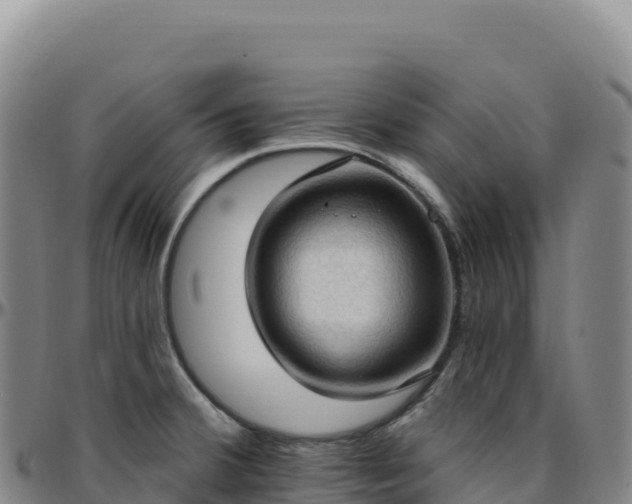 X0000096491380200801311609