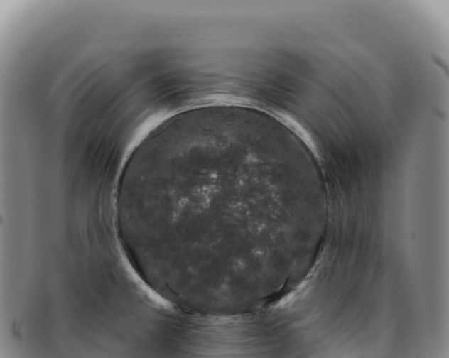 X0000096491381200801311609