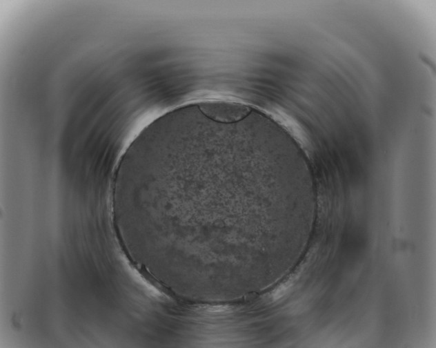 X0000096491382200801311609