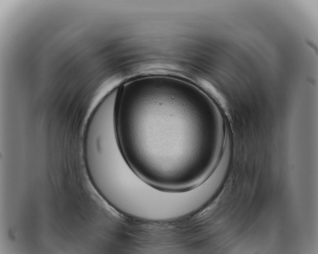 X0000096491384200801311609