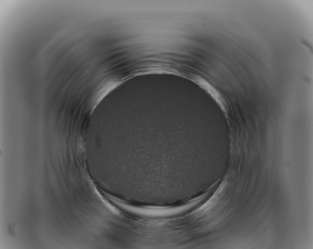 X0000096491385200801311609