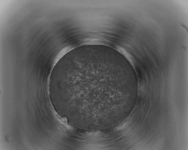 X0000096491386200801311609