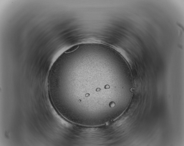 X0000096491387200801311608