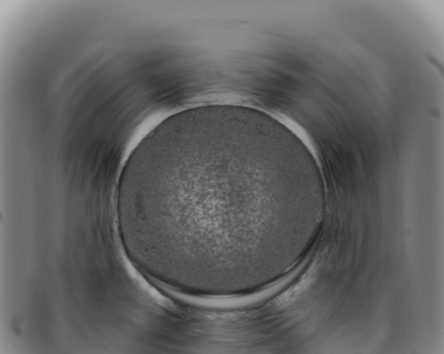 X0000096491389200801311608