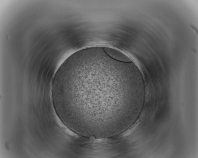 X0000096491390200801311608