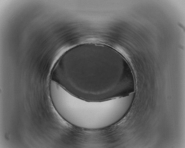 X0000096491392200801311608