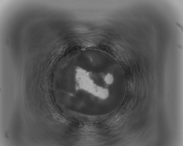 X0000096491393200801311608