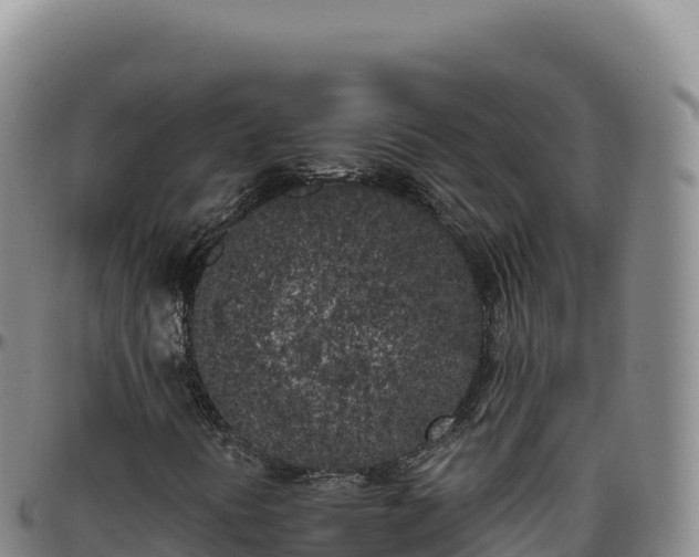 X0000096491394200801311608