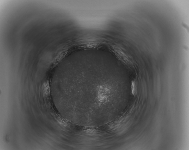 X0000096491395200801311608