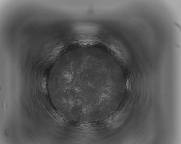 X0000096491396200801311608