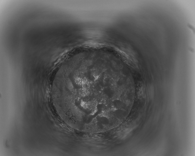 X0000096491397200801311608