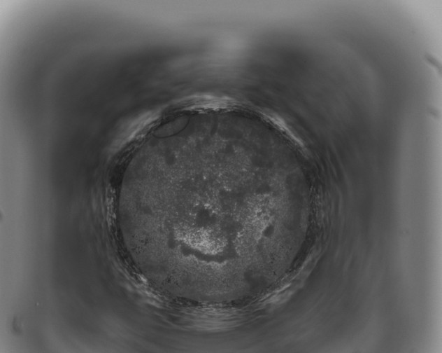 X0000096491399200801311608