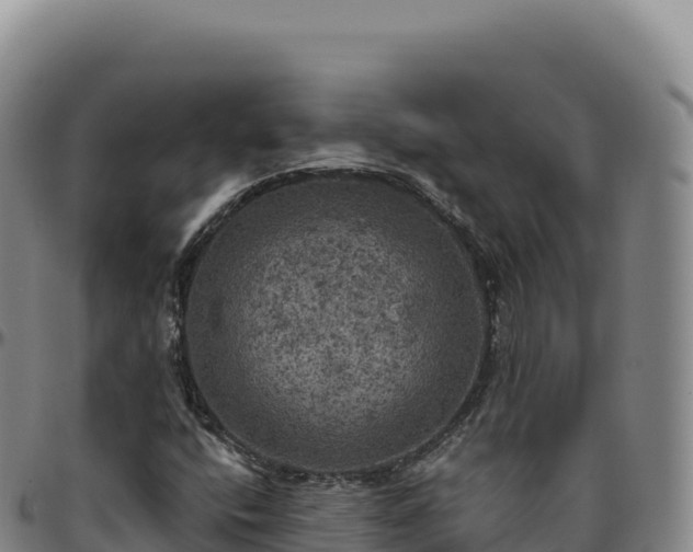 X0000096491400200801311608