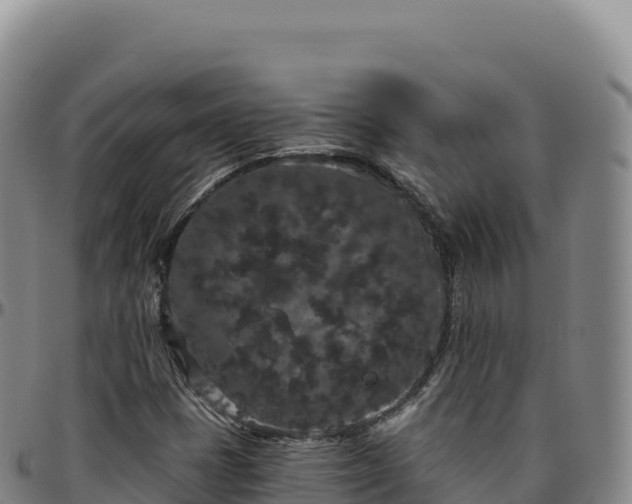 X0000096491401200801311608