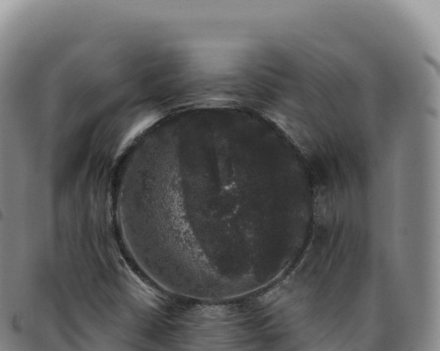 X0000096491402200801311608