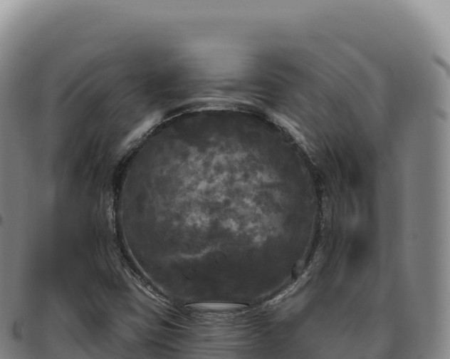 X0000096491403200801311608