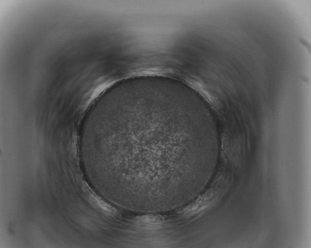 X0000096491404200801311608