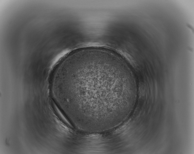 X0000096491406200801311608