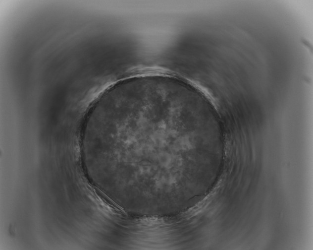 X0000096491407200801311608