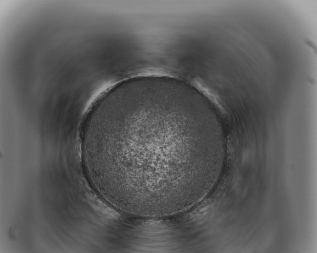 X0000096491408200801311608