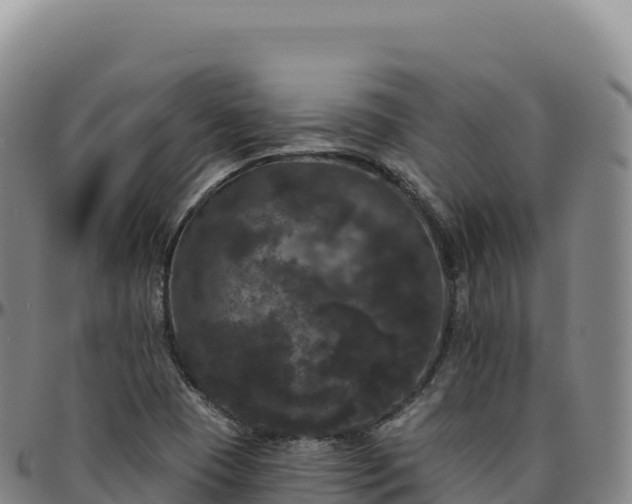 X0000096491409200801311608